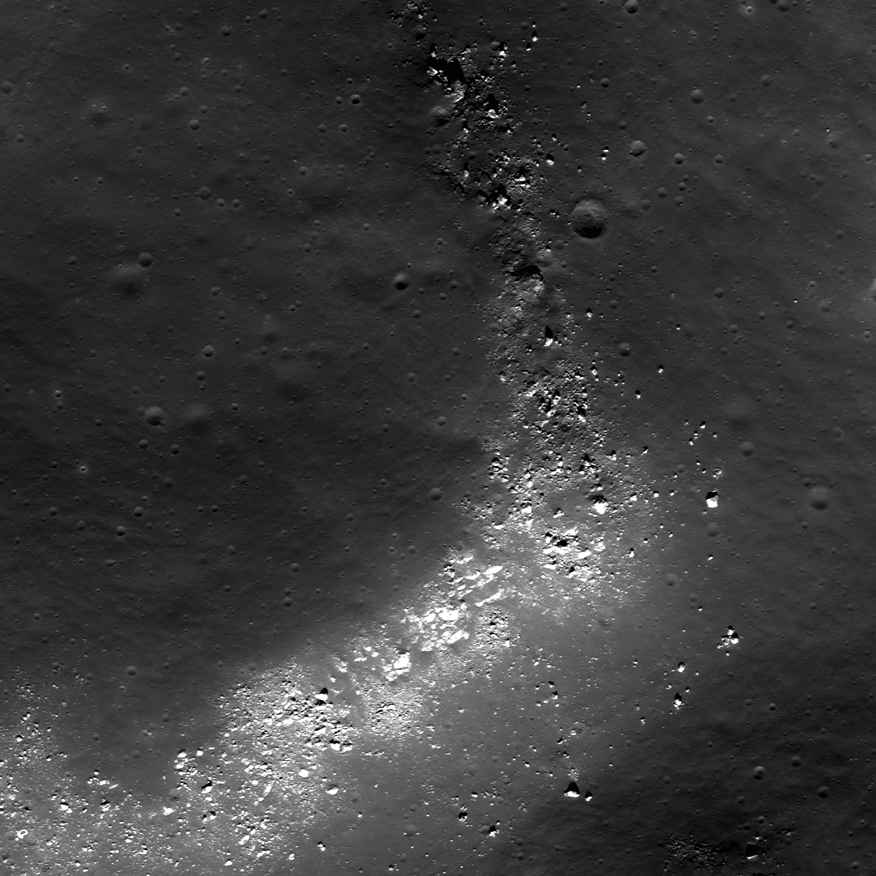 Two of these things are not like the others